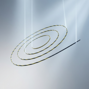 Eternis – Zebra Guidewire with Hydrophilic Tip