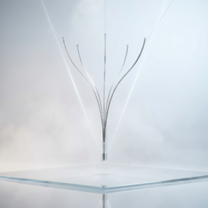 5 Prong Grasping Forceps